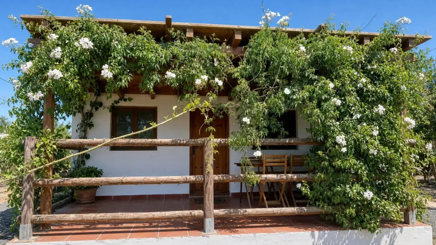 Cabin with porch and flowers in Lanzarote, CabanaLanz