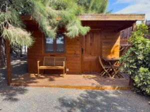 Holzhütte Drago mit Holzveranda und Bank zwischen Kanarischen Kiefern