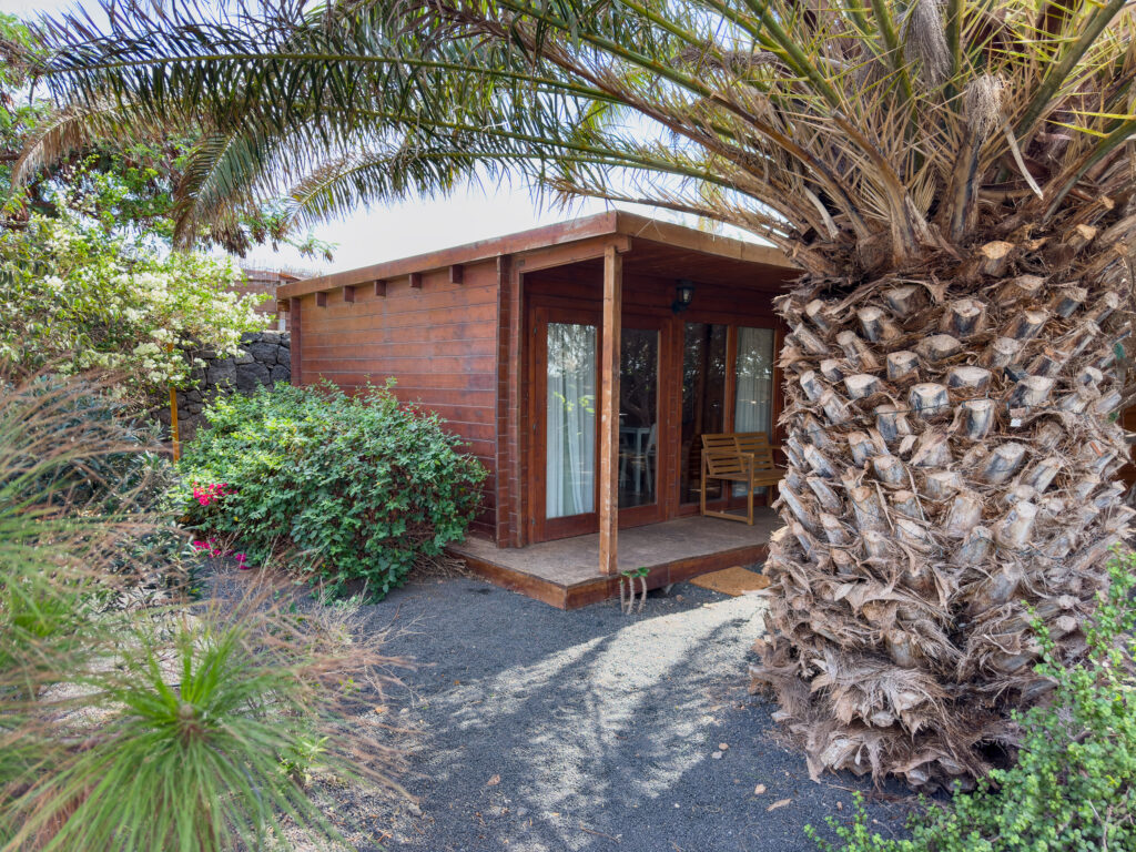 Wooden cabin with glass doors next to a Canary palm on a farm in Lanzarote