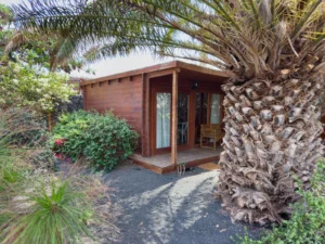 La cabane Tabaiba à côté d’un palmier des Canaries