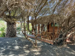 Porche de la cabane entre arbres et palmiers