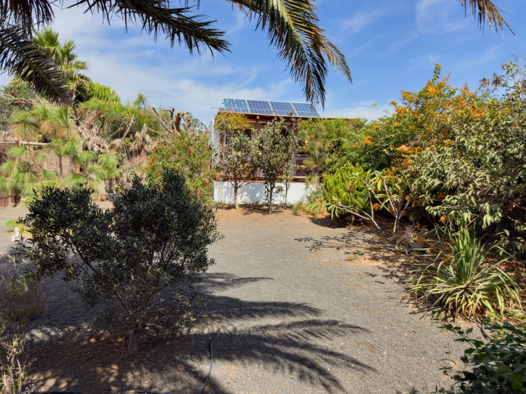 Solar panels at the CabanaLanz estate among palms and flowering trees
