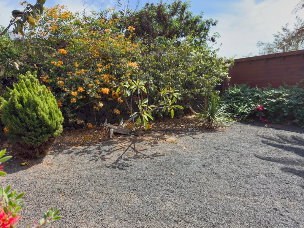 Shrubs with orange flowers in the CabanaLanz garden