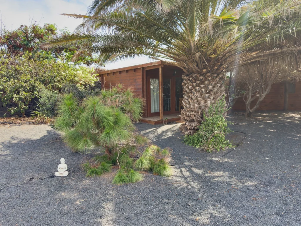 Canary palm and Canary pines next to a cabin at the CabanaLanz estate