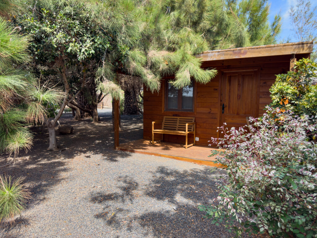 Cabaña de madera con porche entre pinos y árboles en la finca CabanaLanz, glamping en Lanzarote